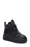 Ash Montana Platform Sneaker In Black/ Plum