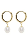Argento Vivo Freshwater Pearl Drop Huggie Hoop Earrings In Gold