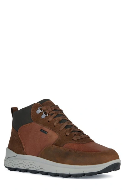 Geox Spherica Waterproof High Top Trainer In Cognac