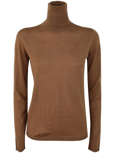 Max Mara Palos Turtle Neck Sweater Clothing In Brown