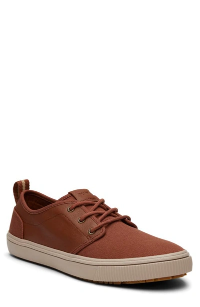 Toms Carlo Terrain Sneaker In Dark Brown