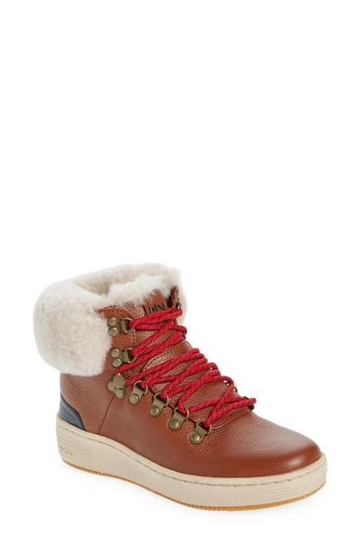 Skechers Palmilla-anda Genuine Sheepskin Lined Boot In Dark Brown