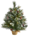 Nearly Natural 2ft Frosted Pine Artificial Christmas Tree In Green