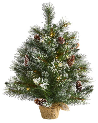 Nearly Natural 2ft Frosted Pine Artificial Christmas Tree In Green