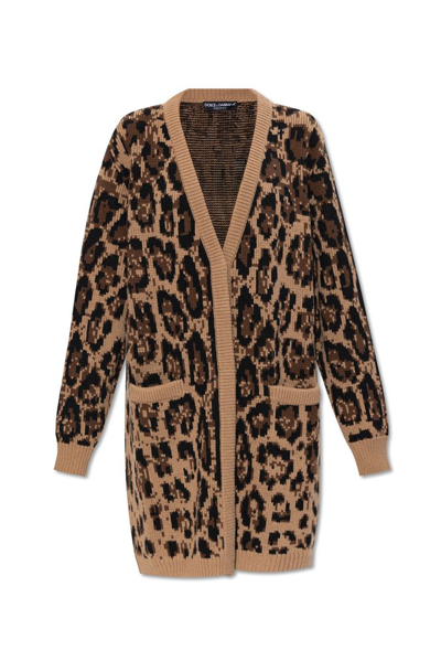 Dolce & Gabbana Leopard In Multi