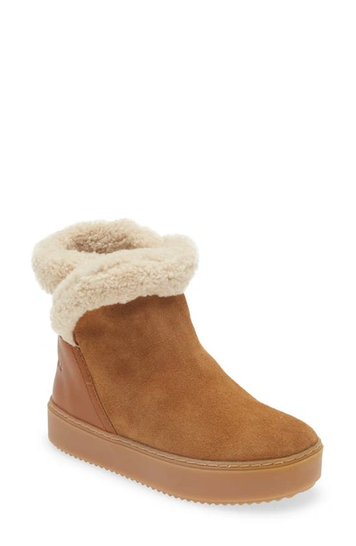 See By Chloé Juliet Shearling-lined Suede And Leather Ankle Boots In 221-tan