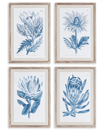 Napa Home & Garden Set Of 4 Indigo Protea Prints In Blue