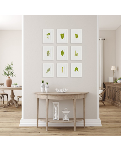 Napa Home & Garden Set Of 9 Green Leaf Petite Prints