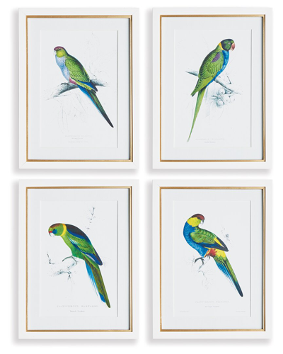 Napa Home & Garden Set Of 4 Colorful Parrots Prints In Green