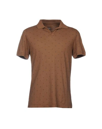Heritage Man Polo Shirt Cocoa Size 40 Cotton, Elastane In Brown