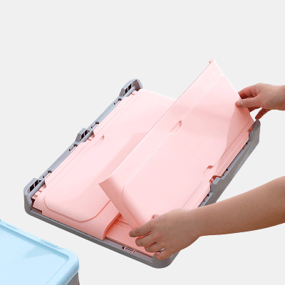 Vigor Foldable Storage Boxes In Pink