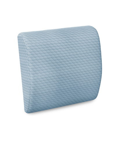 Prosleep Lumbar Back Support Memory Foam Accessory Pillow In Gray