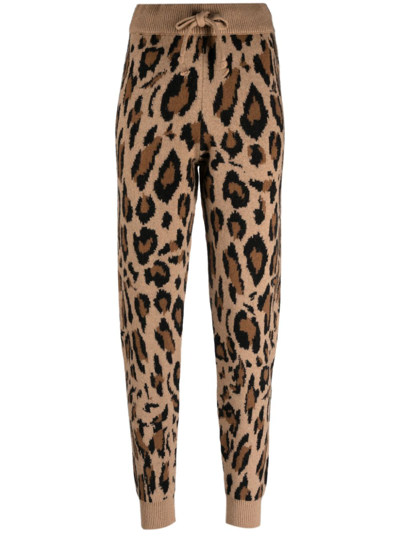 Joshua Sanders Animal-pattern Knitted Track Trousers In Nude