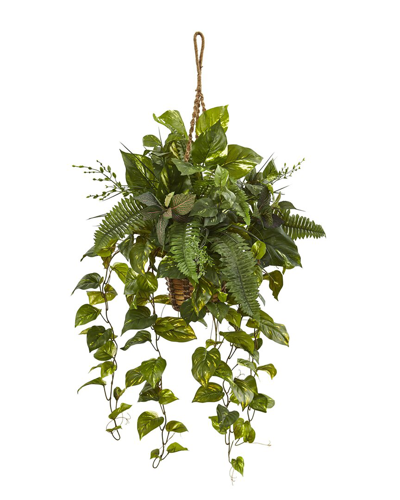 Nearly Natural Mixed Pothos And Boston Artificial Arrangement Fern In Hanging Basket In Green