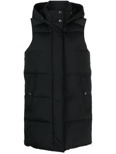 Woolrich Padded Hooded Gilet In Schwarz