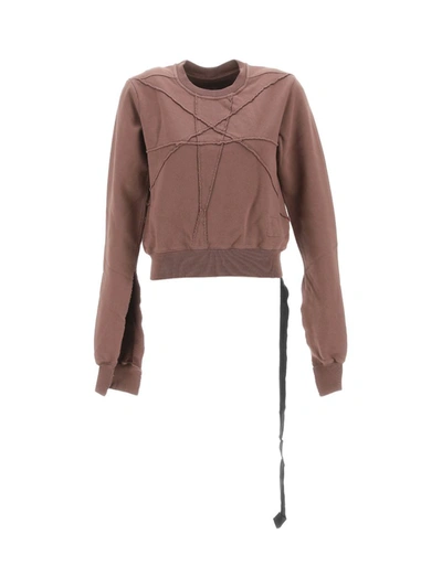 Rick Owens Drkshdw Sweaters In Brown