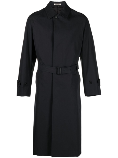 Auralee Belted Button-up Cotton Coat In Black