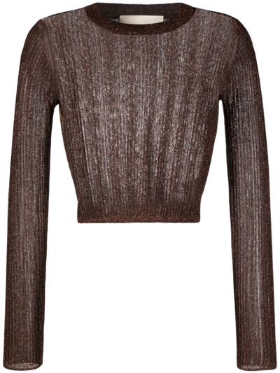 Aeron Plume Lurex Knitted Top In Brown