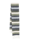 Apc Swan Scarf In Blau