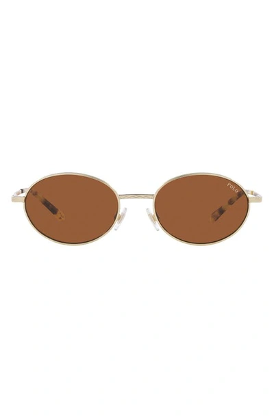 Polo Ralph Lauren 53mm Oval Sunglasses In Dark Brown