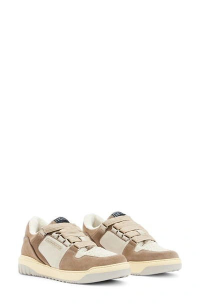 Allsaints Stryker Contrast-panel Suede Low-top Trainers In Taupe