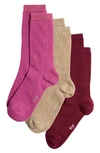 Stems Assorted 3-pack Rib Socks In Amaryllis,plum,nude