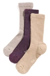 Stems Assorted 3-pack Rib Socks In Heliotrope
