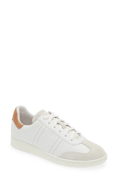 Frankie4 Drew Sneaker In White Nutmeg