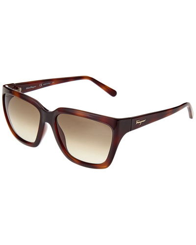 Ferragamo Women's Sf1018s 59mm Sunglasses In Brown