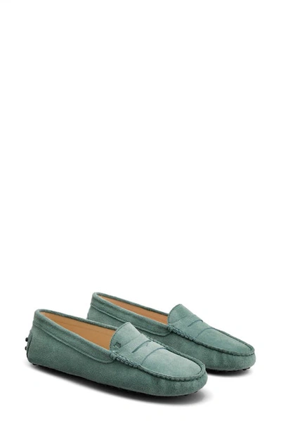 Tod's Gommino Suede Loafers In Green