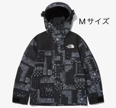 Pre-owned The North Face North Face White Label Paisley Gore Tex Mountain Jacket Free Shipping From Japan