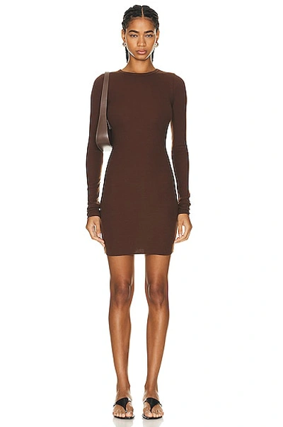 Éterne Long-sleeve Crewneck Knit Mini Dress In Chocolate