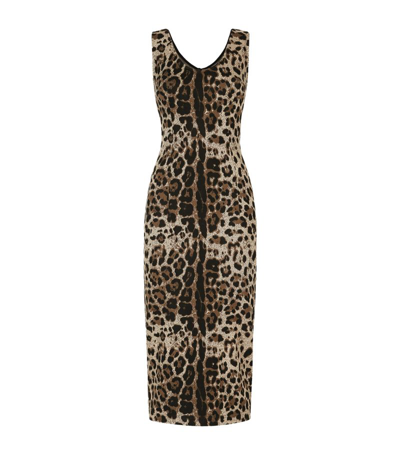 Dolce & Gabbana Leopard Print Midi Dress In Multi