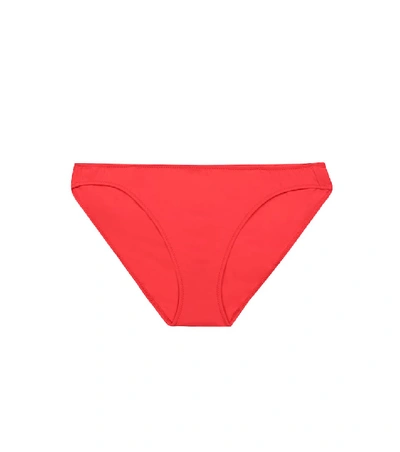 Araks Enil Bikini Bottoms In Red