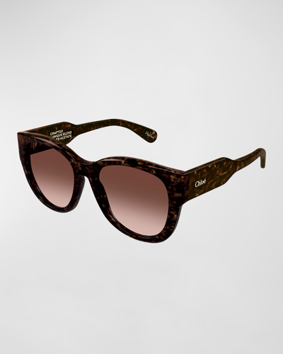 Chloé Acetate Cat-eye Sunglasses In Dark_havana