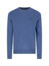 Polo Ralph Lauren Sweater In Blue