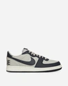 Nike Terminator Low Sneaker In Multicolor