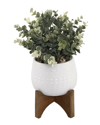 Flora Bunda Eucalyptus In 5in Matte White Mayan Ceramic Pot On Wood Stand In White
