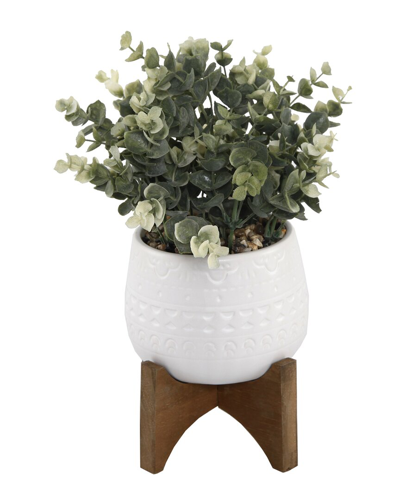 Flora Bunda Eucalyptus In 5in Matte White Mayan Ceramic Pot On Wood Stand