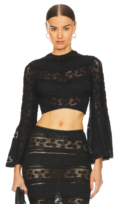 Charo Ruiz Yam Cropped Paneled Stretch-lace And Gauze Top In Black