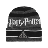 Concept One Harry Potter Deathly Hallows Beanie In Black