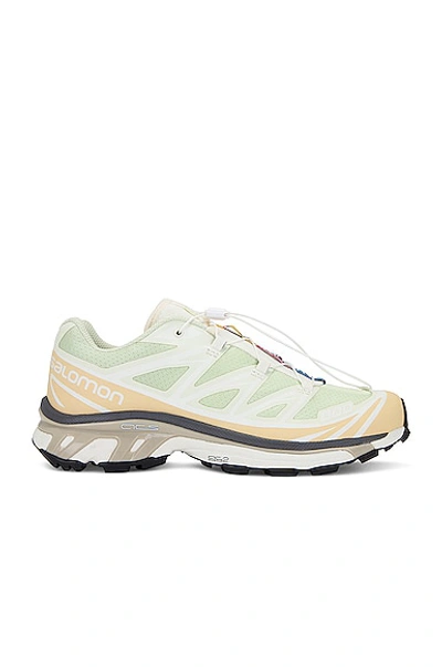 Salomon Xt-6 Sneaker In Green