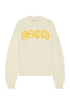 Marni Sweater In Ivory,yellow