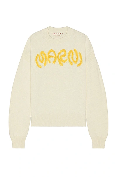 Marni Jumper In Ivory,yellow