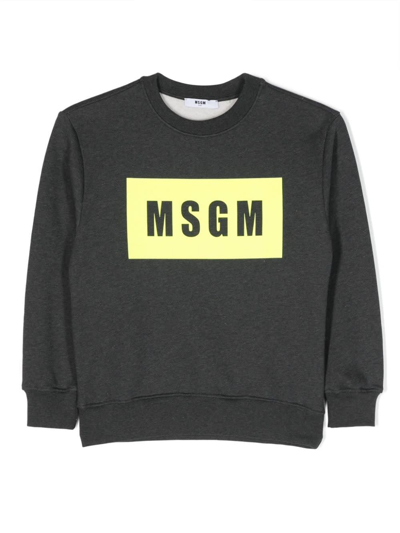 Msgm Kids' Logo-print Cotton Sweatshirt In Grigio