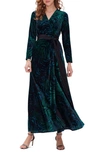 Diane Von Furstenberg Jareth Tiger Print Long Sleeve Velvet Wrap Maxi Dress In Moire Tiger