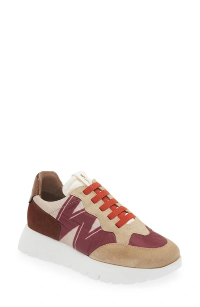 Wonders Logo Sneaker In Beige Vino Brown Combo