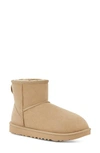 Ugg Women's Classic Mini Ii Boot In Mustard Seed In Beige