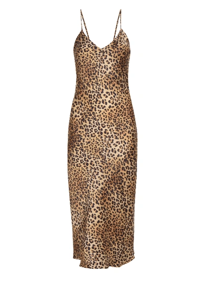 Gilda & Pearl Golden Hollywood Leopard-print Silk Midi Dress In Brown