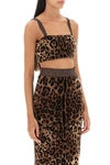 Dolce & Gabbana Cropped Leopard-jacquard Cotton-blend Chenille Top